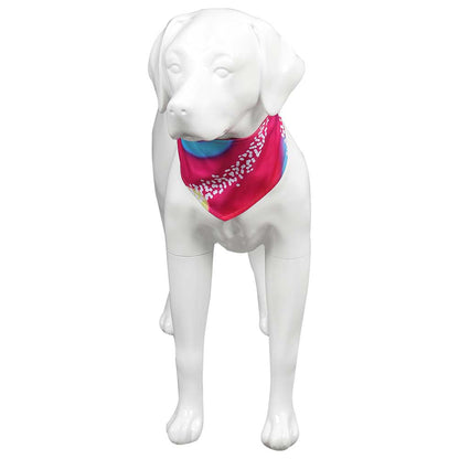 Pet Dog Bib Set Of 2