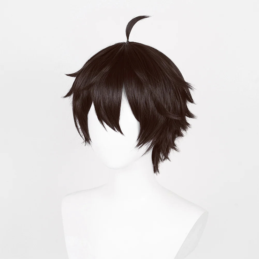 Honkai Dan Heng Cosplay Carnival Wig