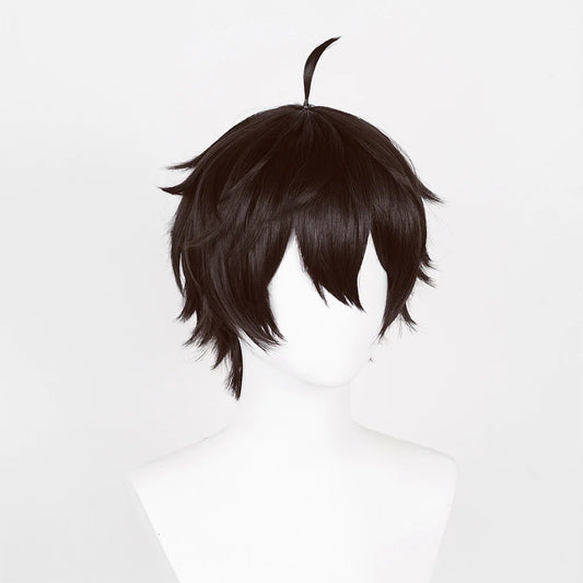 Honkai Dan Heng Cosplay Carnival Wig Default Title