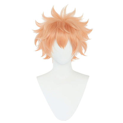 Nahoya Cosplay Wig