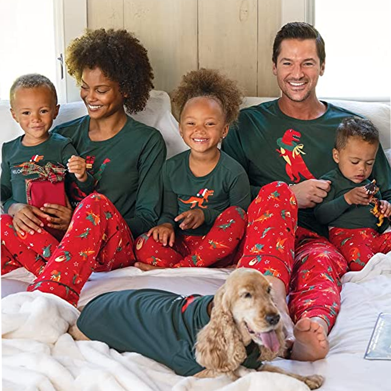 Family Christmas Dino Matching Set